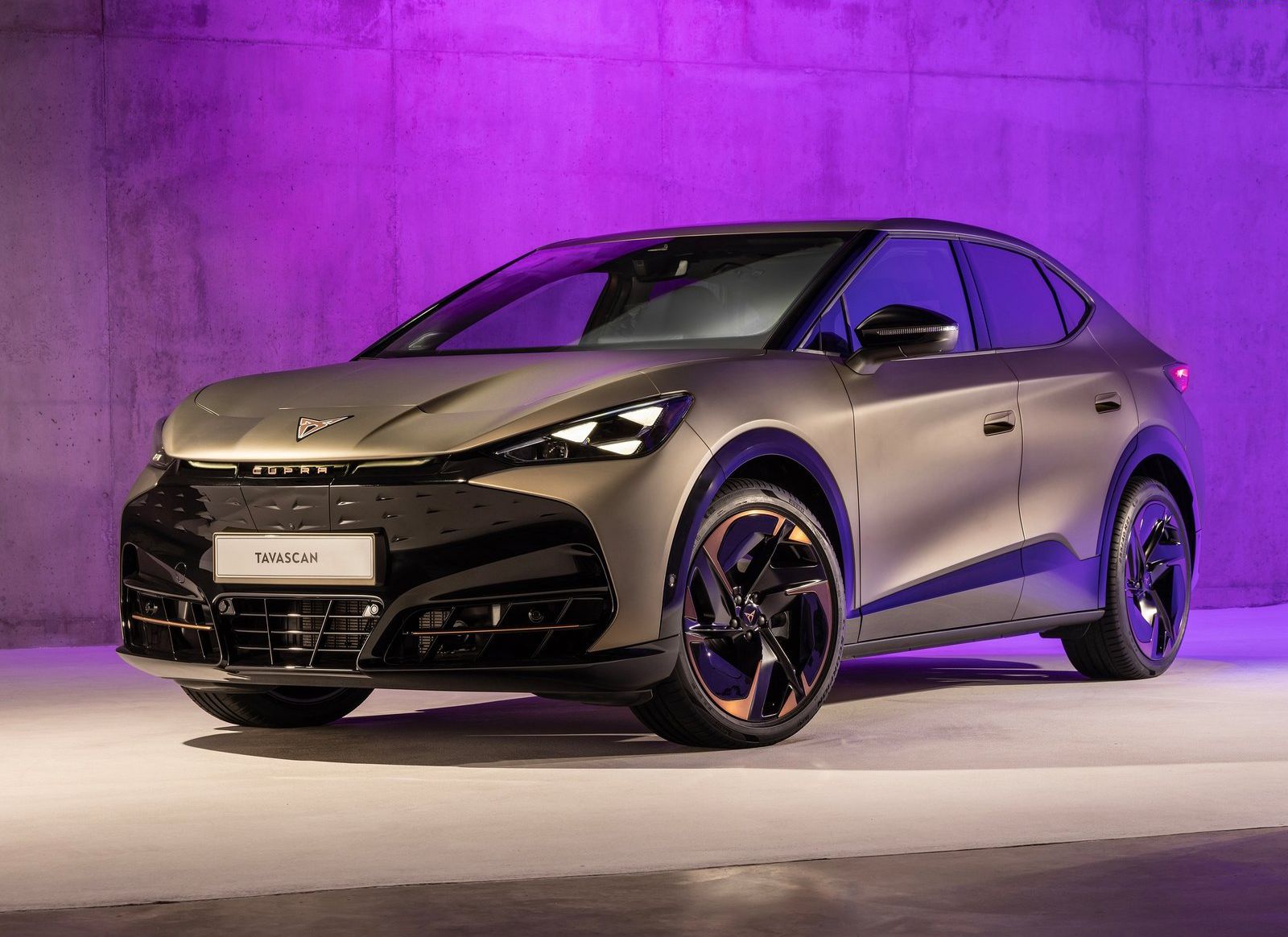 Read more about the article Cupra Tavascan Endurance